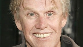 gary busey