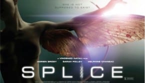 Splice