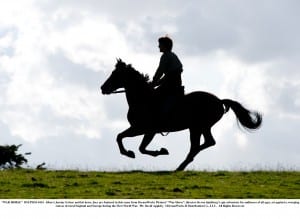 WAR HORSE