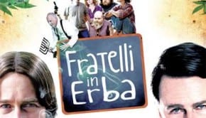 locandina del film Fratelli in erba 01