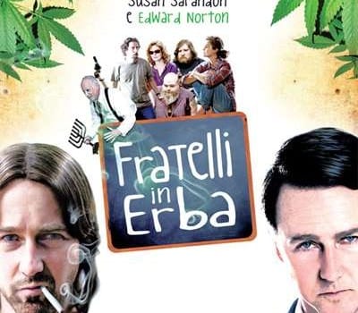 locandina del film Fratelli in erba 01