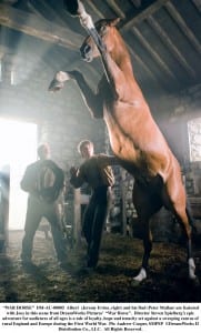 WAR HORSE