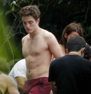 Breaking Dawn