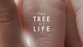 The Tree of Life
