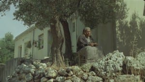Incendies selection