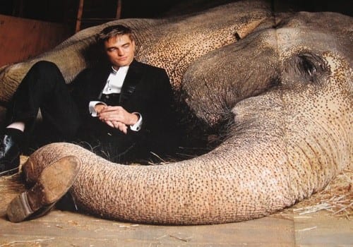 Robert Pattinson in Water for Elephants