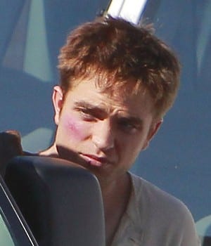 Water for elephants 19