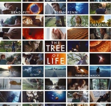 thetreeoflife1