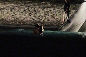 Breaking dawn10