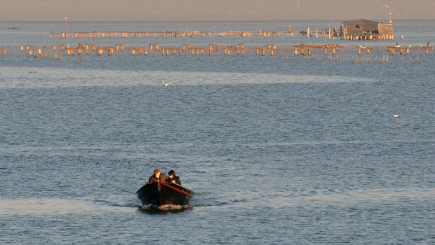 laguna io sono li