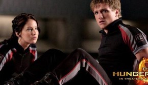 hunger games banner 1