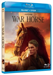 BD WarHorse.jpg rgb