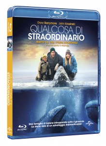 Big Miracle BD ST 3D