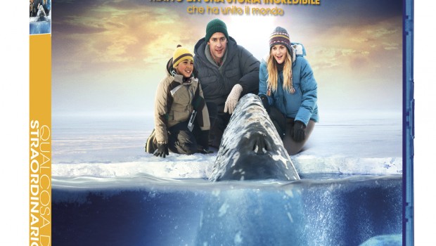 Big Miracle BD ST 3D