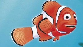 Nemo3D WEB Cartolina 2 Marlin