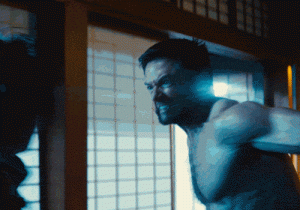 wolverine500x200_face
