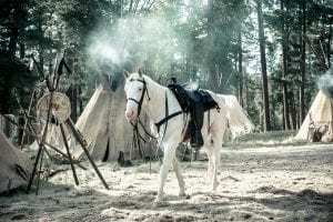 The lone ranger