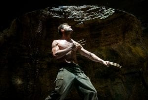 The Wolverine