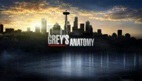 greys anatomy