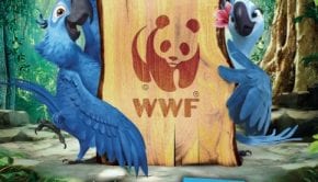 WWF rio2