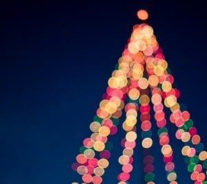 albero6