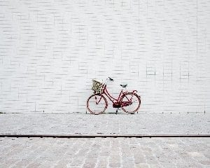 bicicletta 4