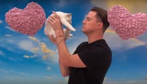 Channing Tatum e il gattino
