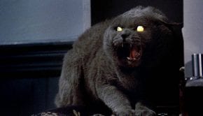 pet sematary