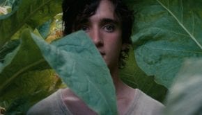 Lazzaro Felice