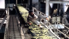 Soylent Green