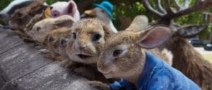 11006693 Peter Rabbit
