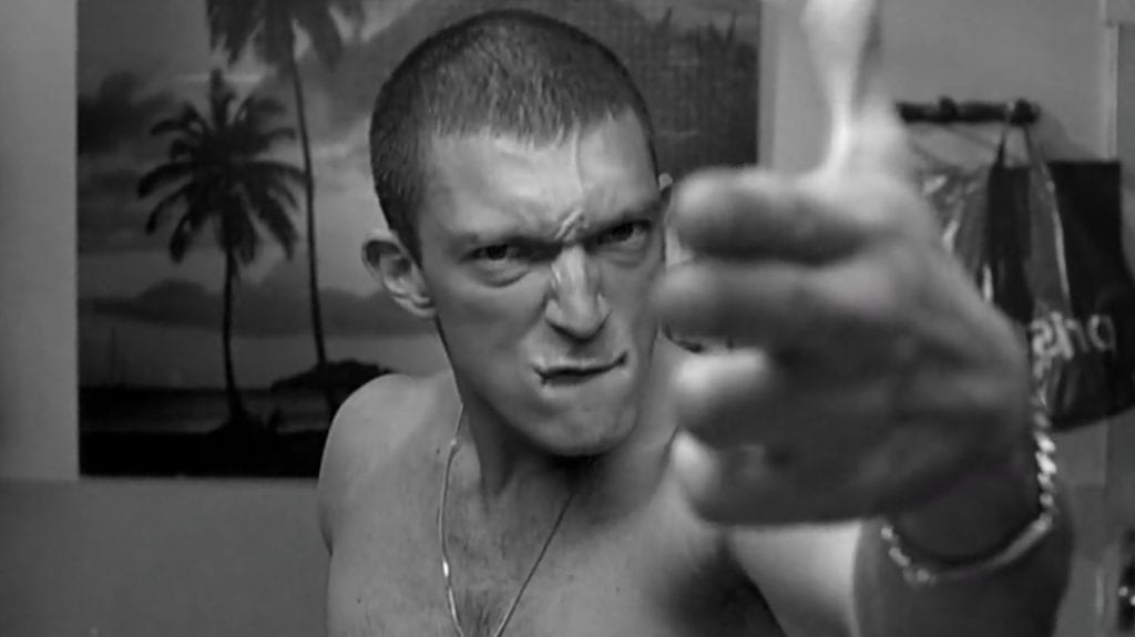 Vincent Cassel la haine