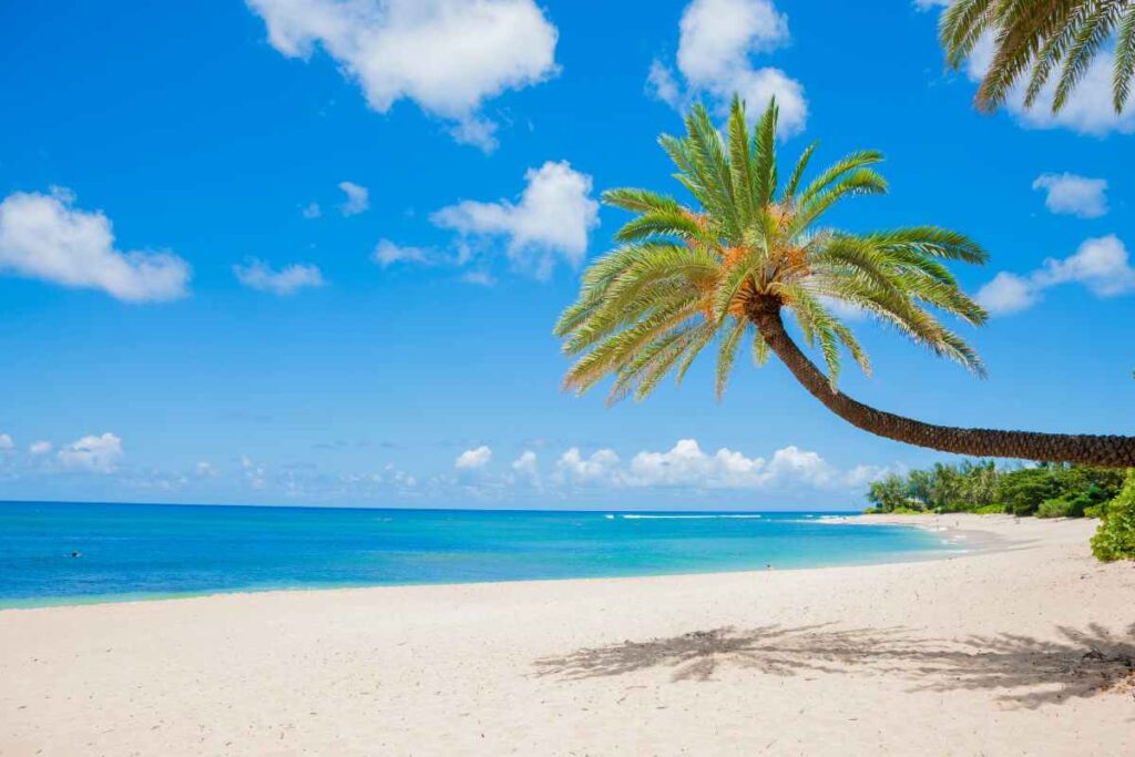 altro che maldive più bella spiaggia italiana