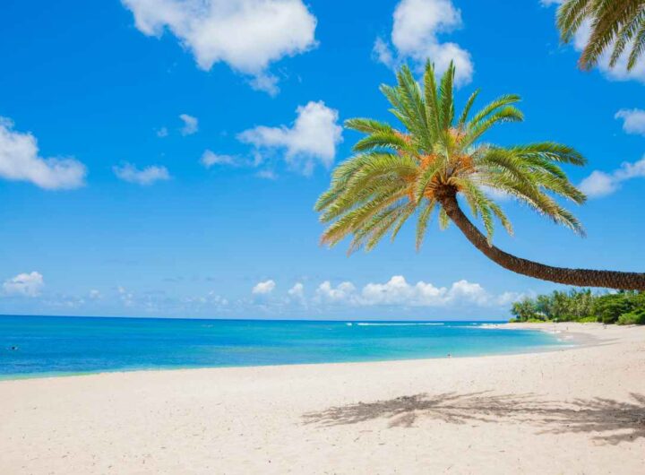 altro che maldive più bella spiaggia italiana