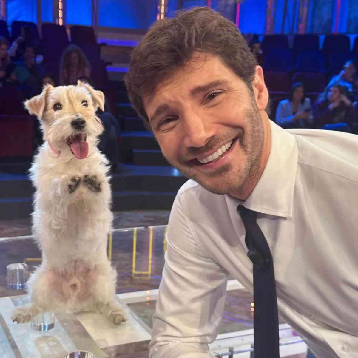 Stefano De Martino novità