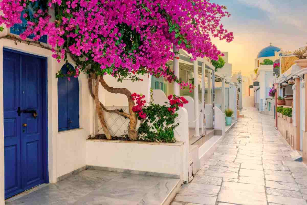 Viaggio low cost