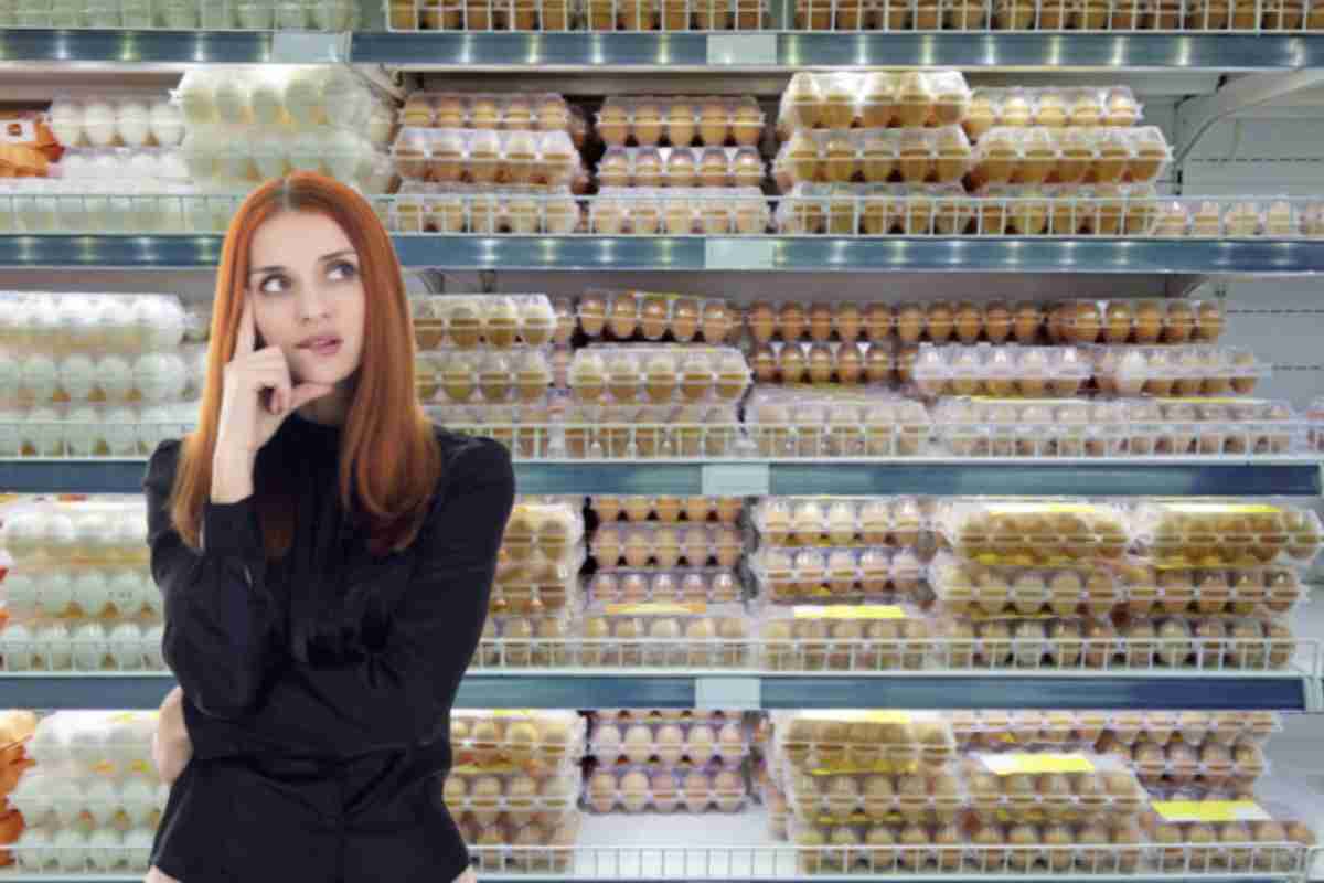 Grazie al contributo del dottor Simone Gabrielli, biologo nutrizionista, approfondiamo le caratteristiche distintive delle uova fresche