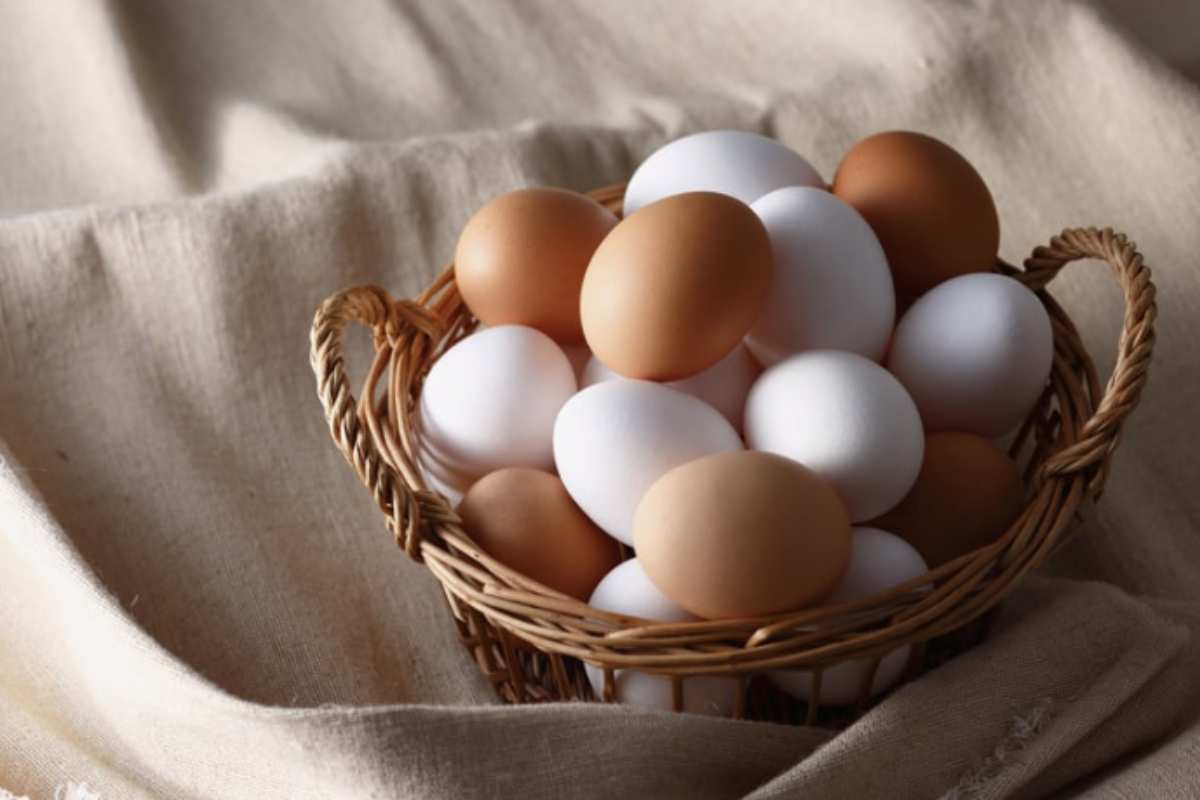 Uova supermercato La conservazione delle uova è un tema cruciale per garantire la sicurezza alimentare. In Europa, le uova vengono generalmente vendute