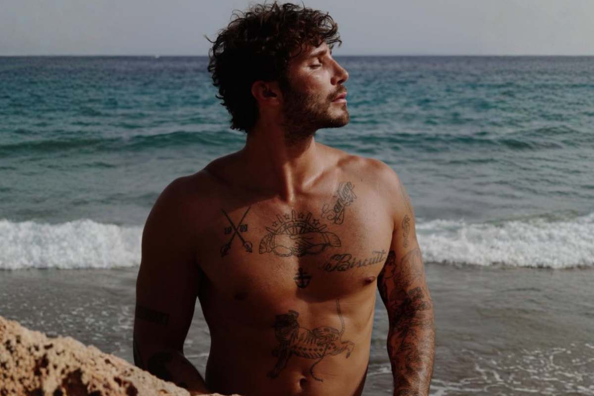 stefano de martino fisico